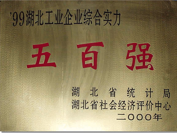 2000年评为五百强